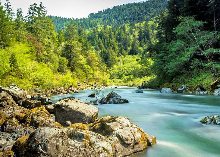 8 Best Campgrounds in Redwood National and State Parks, CA