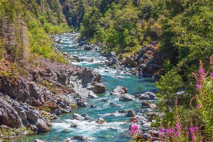 8 Best Campgrounds in Redwood National and State Parks, CA