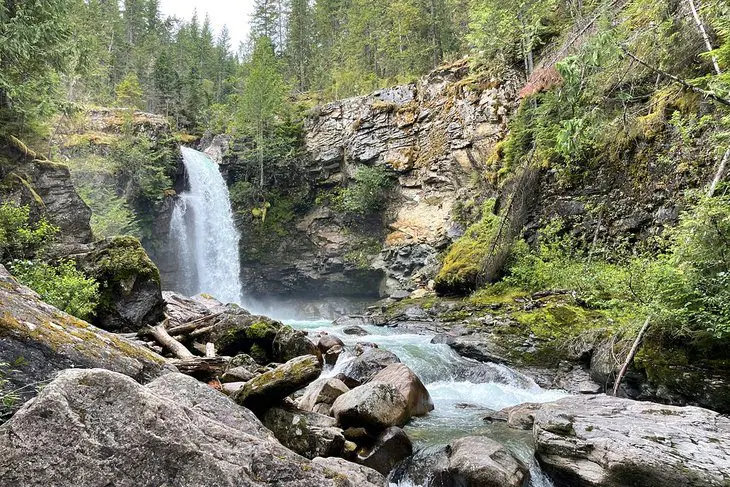 8 Best Campgrounds in Revelstoke, BC