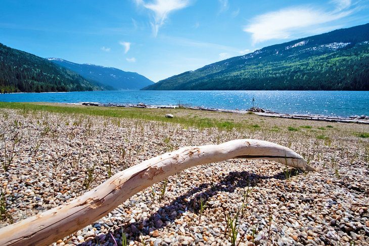 8 Best Campgrounds in Revelstoke, BC