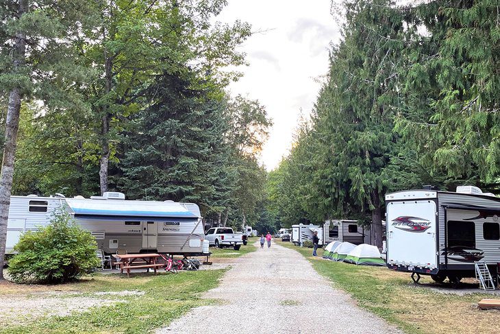 8 Best Campgrounds in Revelstoke, BC