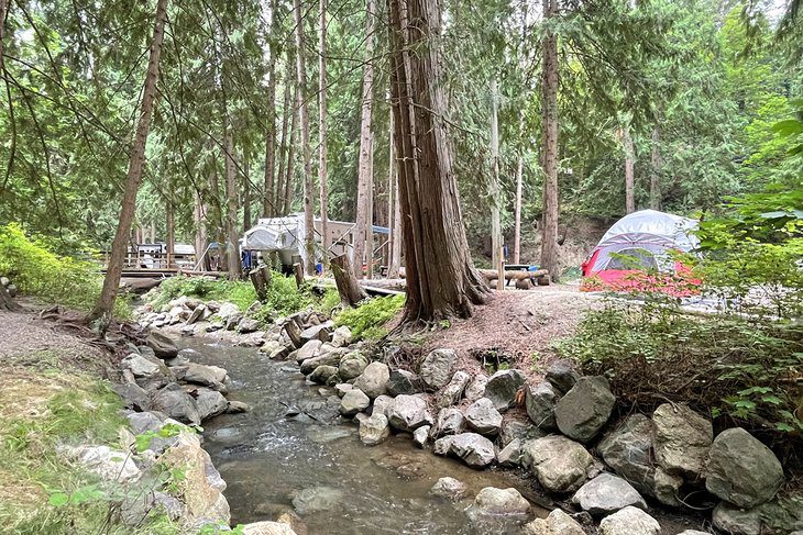 8 Best Campgrounds in Salmon Arm, BC