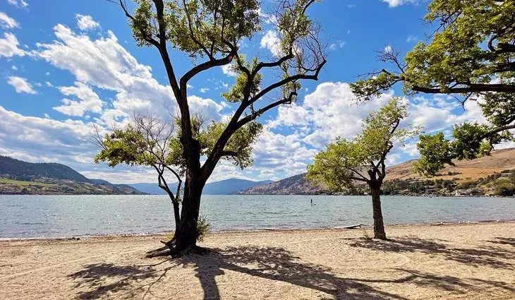 8 Best Campgrounds in Vernon, BC