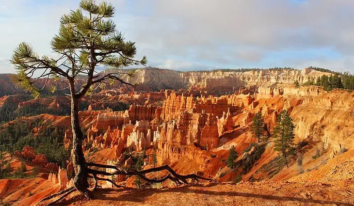 8 Best Campgrounds near Bryce Canyon National Park