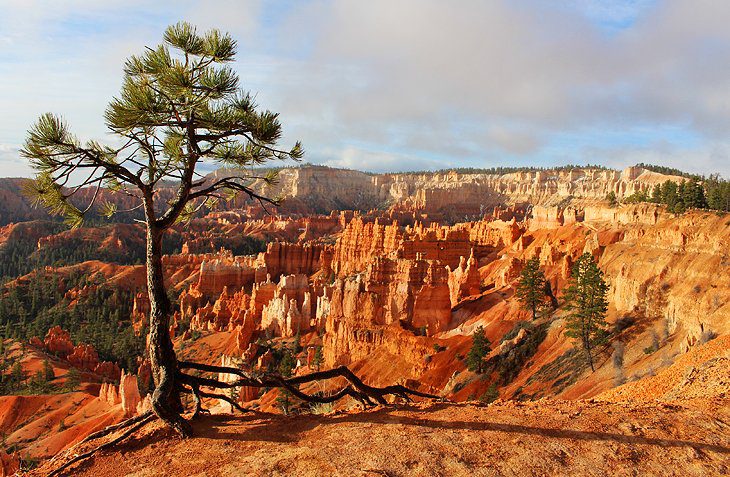 8 Best Campgrounds near Bryce Canyon National Park