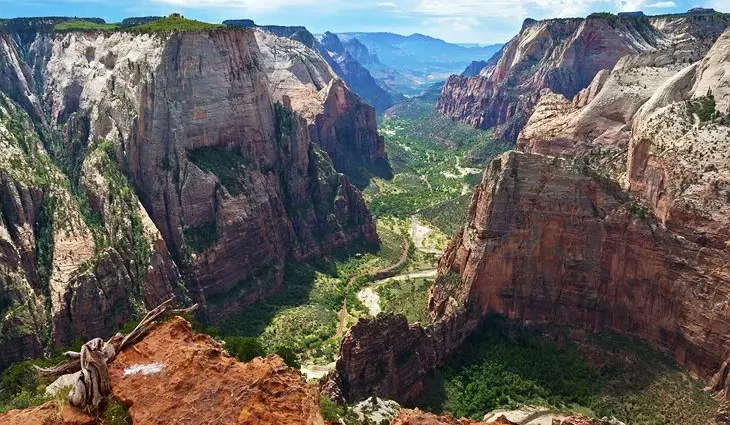 8 Best Campgrounds near Zion National Park