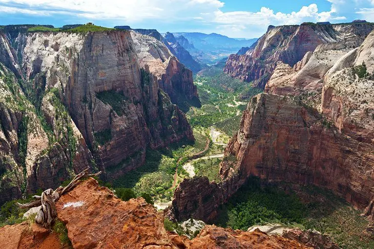 8 Best Campgrounds near Zion National Park