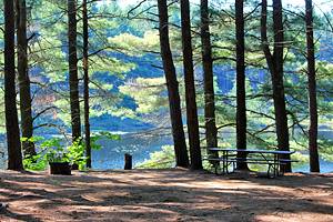 8 Best Camping Areas in Killarney Provincial Park, Ontario