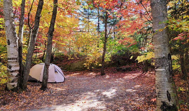 8 Best Camping Areas in Killarney Provincial Park, Ontario