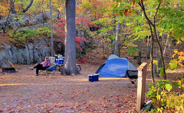 8 Best Camping Areas in Killarney Provincial Park, Ontario