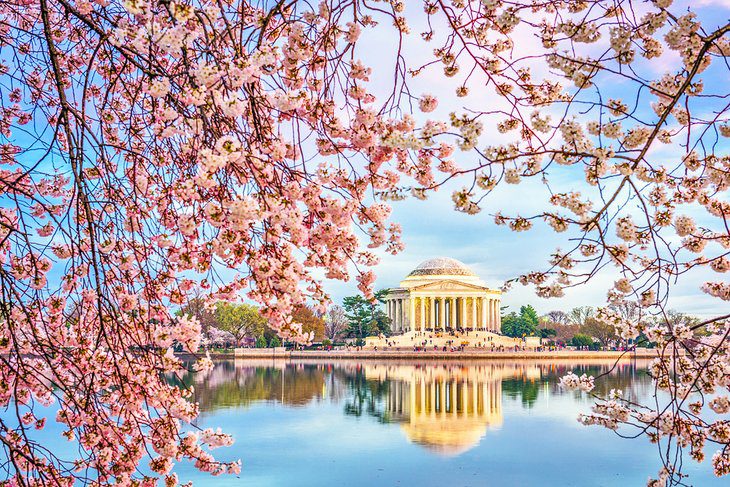 8 Best Parks in Washington, D.C.