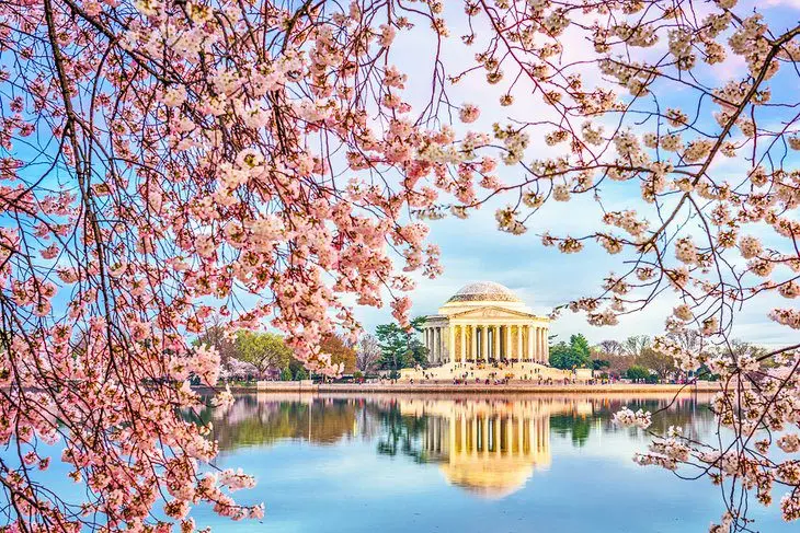 8 Best Parks in Washington, D.C.