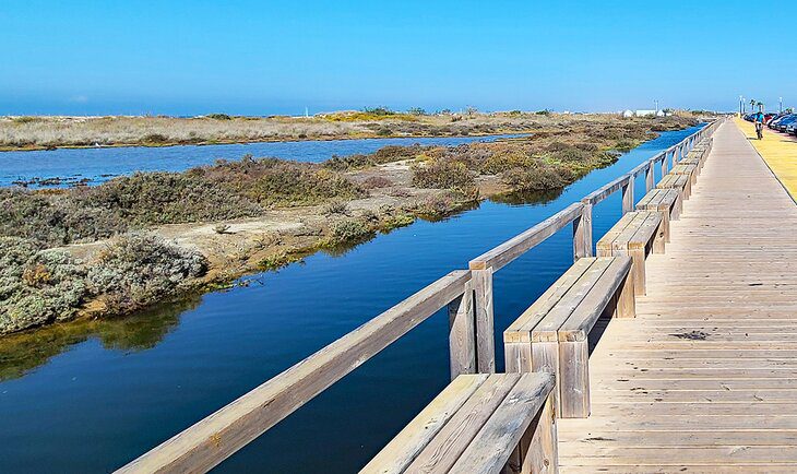 8 Top-Rated Beaches in Cadiz, Spain