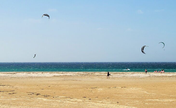 8 Top-Rated Beaches near Tarifa