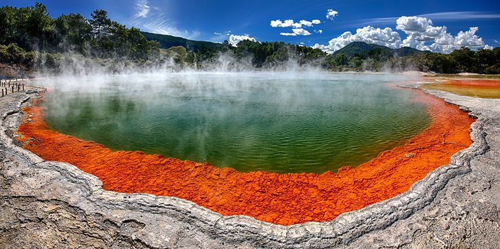 8 Top-Rated Day Trips from Auckland