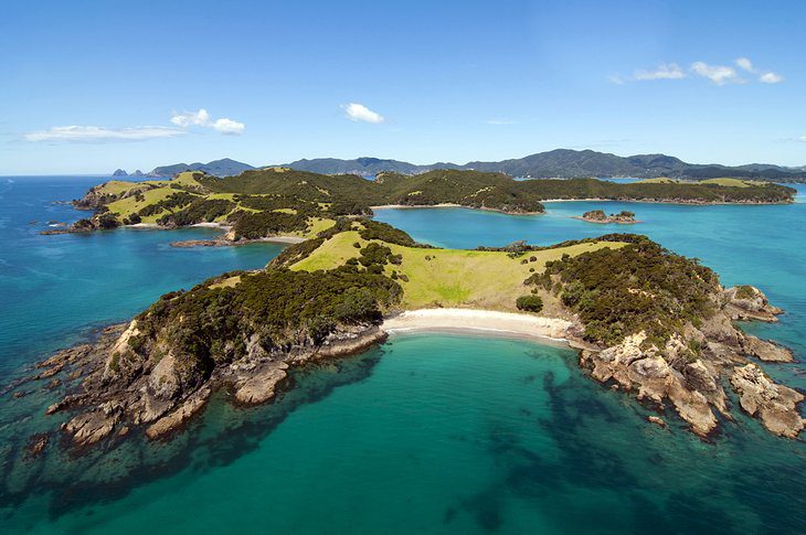 8 Top-Rated Day Trips from Auckland