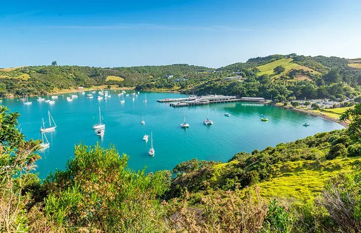 8 Top-Rated Day Trips from Auckland