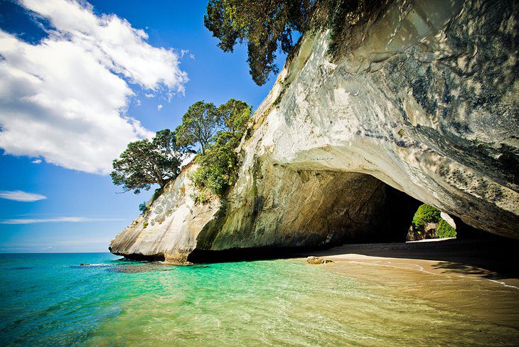 8 Top-Rated Day Trips from Auckland