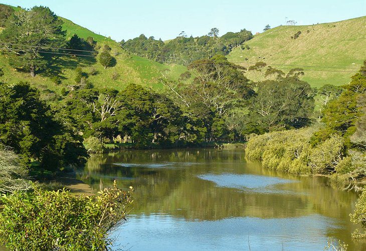 8 Top-Rated Day Trips from Auckland