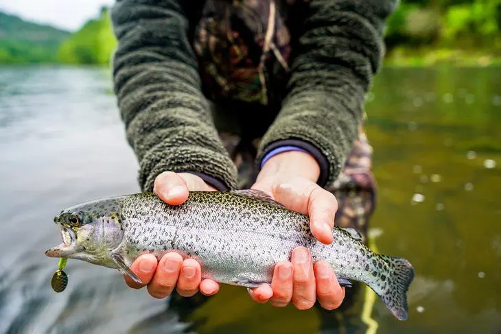 8 Top-Rated Oklahoma Trout Fishing Lakes and Rivers