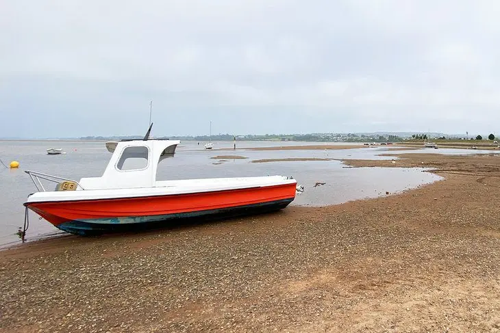 9 Best Beaches in Exmouth, Devon