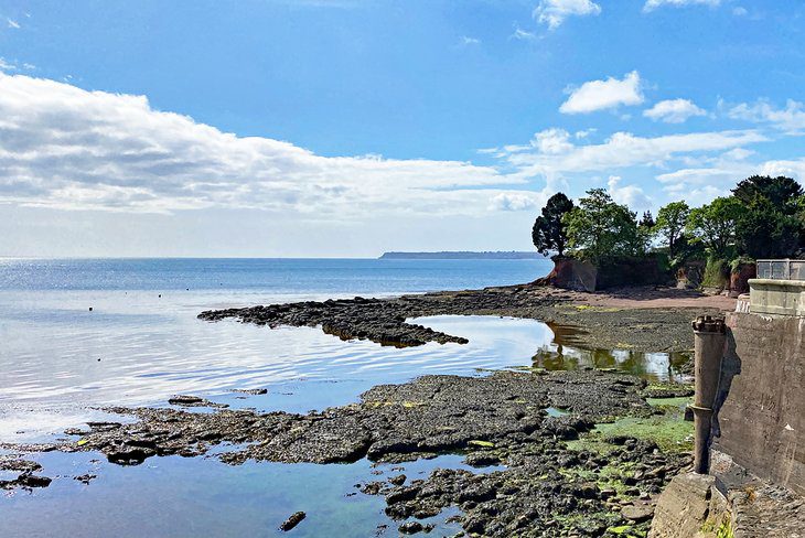 9 Best Beaches in Torquay, Devon