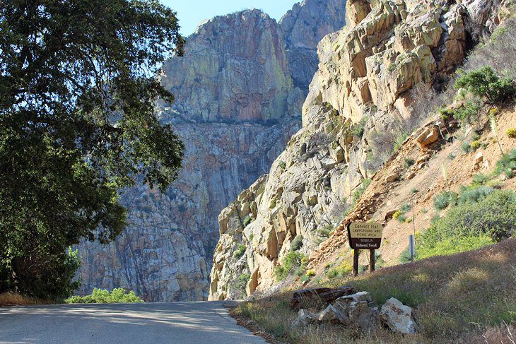 9 Best Campgrounds at Kings Canyon National Park, CA