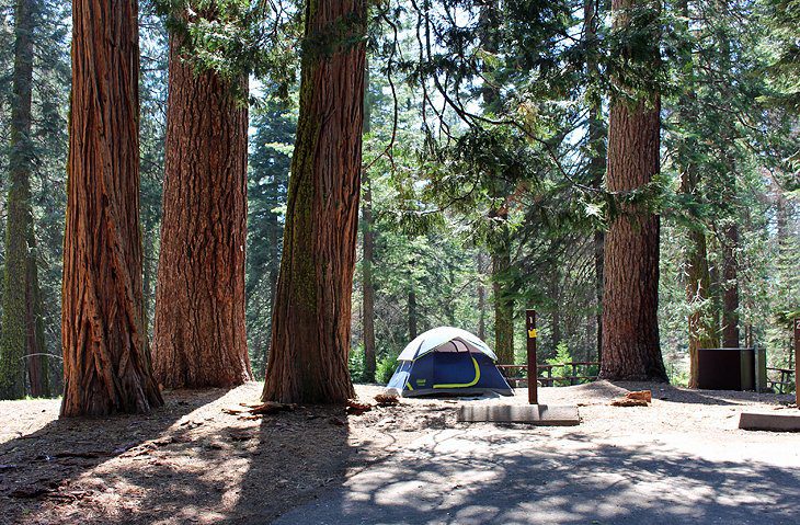 9 Best Campgrounds at Kings Canyon National Park, CA