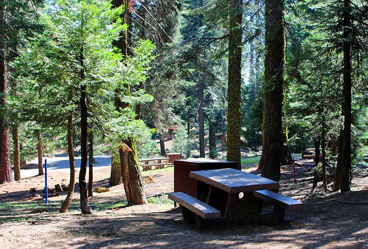 9 Best Campgrounds at Kings Canyon National Park, CA