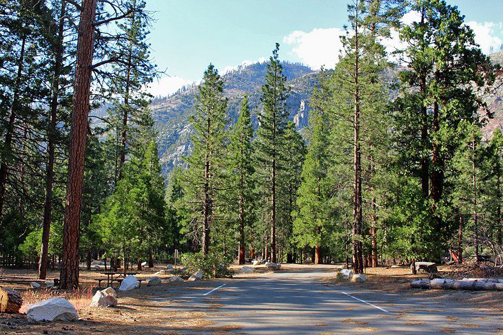 9 Best Campgrounds at Kings Canyon National Park, CA