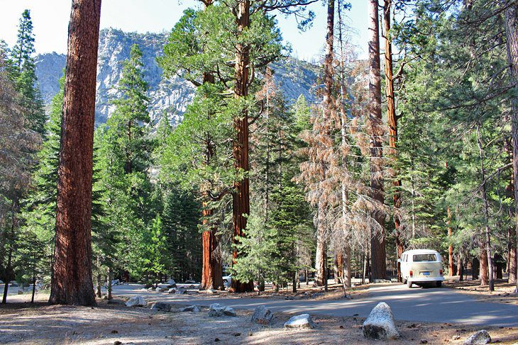 9 Best Campgrounds at Kings Canyon National Park, CA