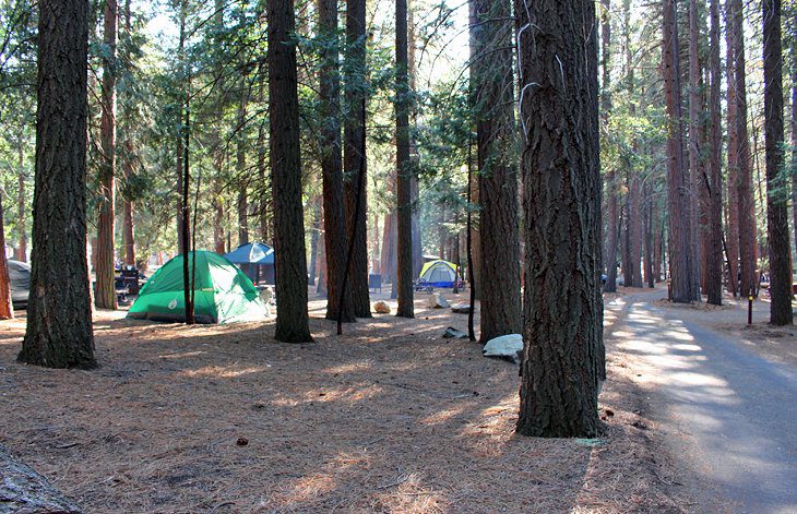 9 Best Campgrounds at Kings Canyon National Park, CA