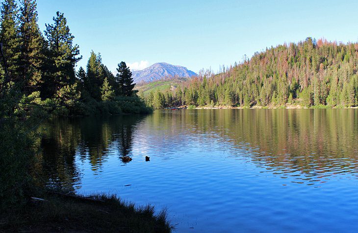 9 Best Campgrounds at Kings Canyon National Park, CA