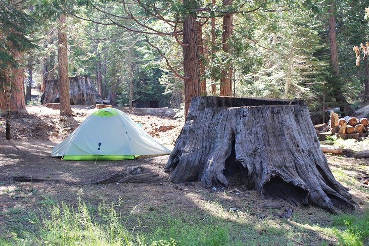 9 Best Campgrounds at Kings Canyon National Park, CA