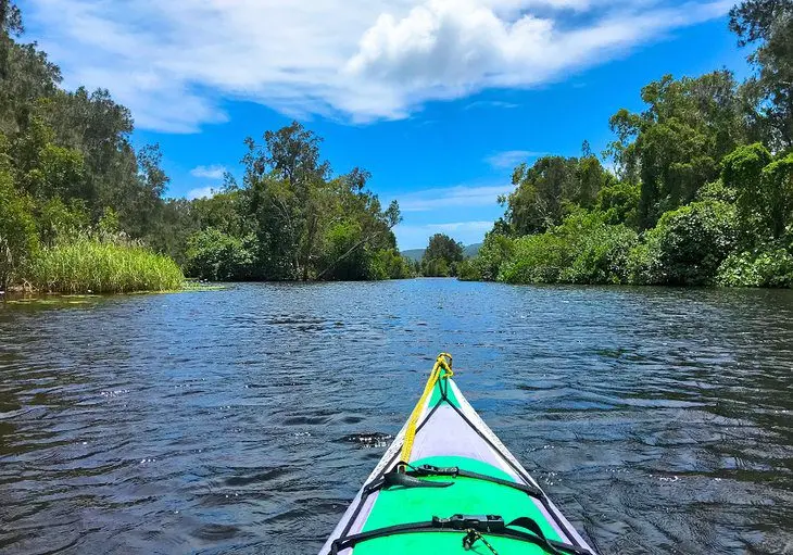 9 Best Campgrounds & Caravan Parks in Noosa