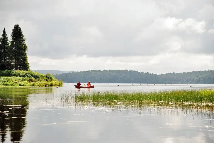 9 Best Campgrounds in Algonquin Provincial Park