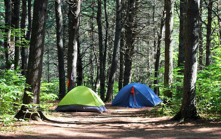 9 Best Campgrounds in Algonquin Provincial Park