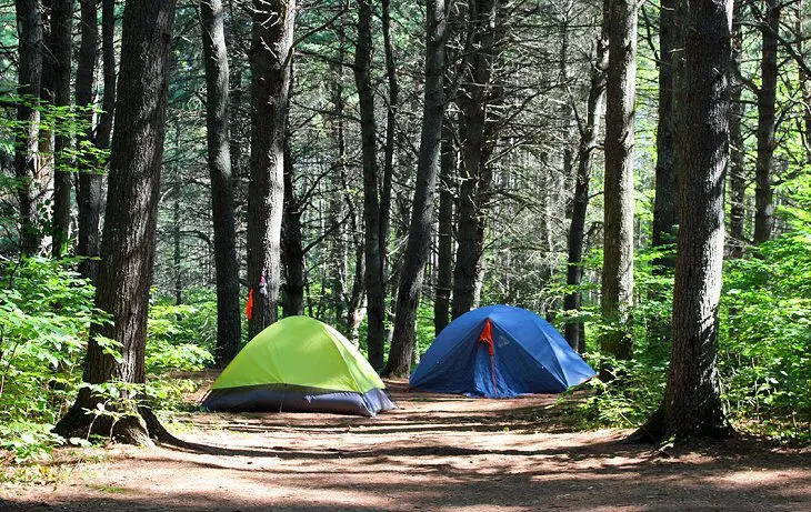 9 Best Campgrounds in Algonquin Provincial Park