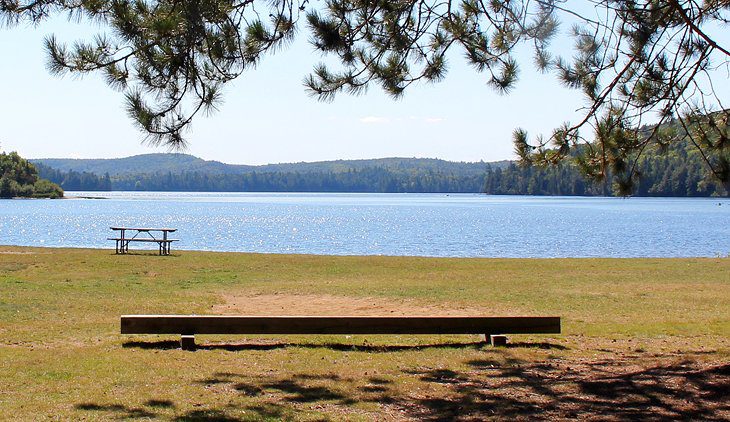 9 Best Campgrounds in Algonquin Provincial Park