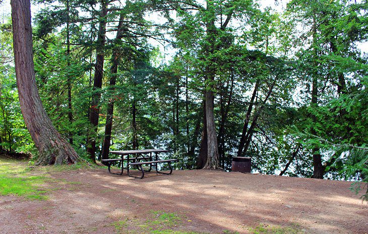 9 Best Campgrounds in Algonquin Provincial Park