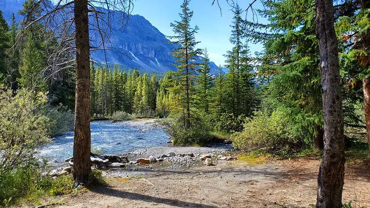 9 Best Campgrounds in Banff National Park, AB