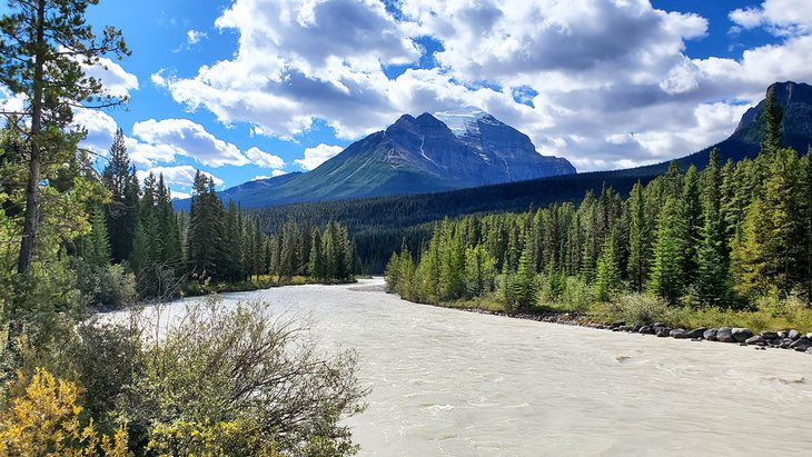 9 Best Campgrounds in Banff National Park, AB