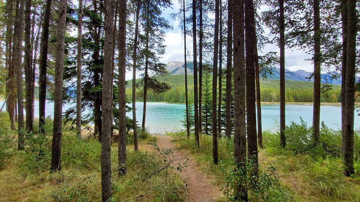 9 Best Campgrounds in Banff National Park, AB