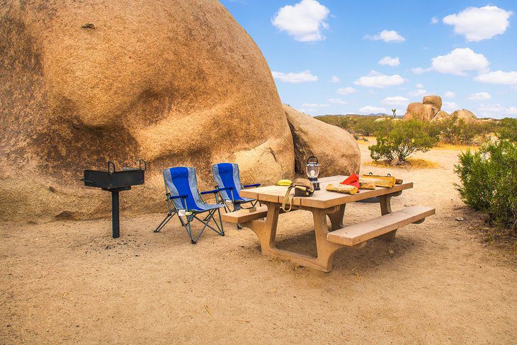 9 Best Campgrounds in Joshua Tree National Park & Camping Details