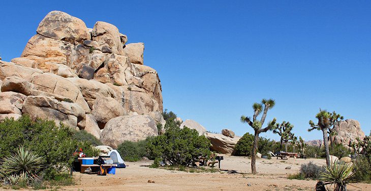 9 Best Campgrounds in Joshua Tree National Park & Camping Details