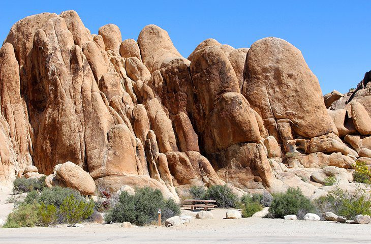 9 Best Campgrounds in Joshua Tree National Park & Camping Details