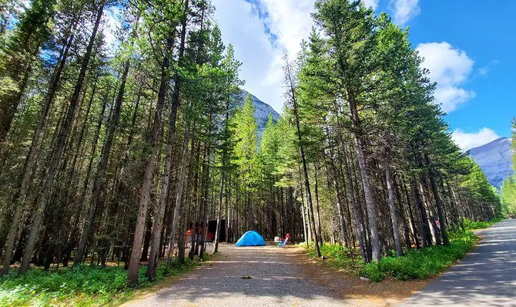 9 Best Campgrounds in Kananaskis Country, Alberta