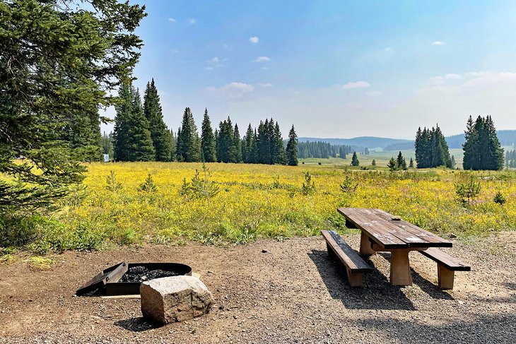 9 Best Campgrounds in Steamboat Springs, CO