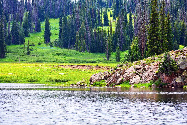 9 Best Campgrounds in Steamboat Springs, CO