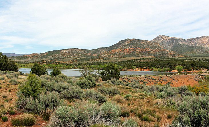 9 Best Campgrounds near St. George, UT